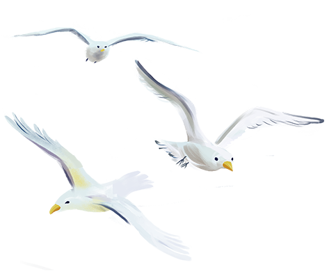 05bf49f9d64fa1157037a8a0bb64274c