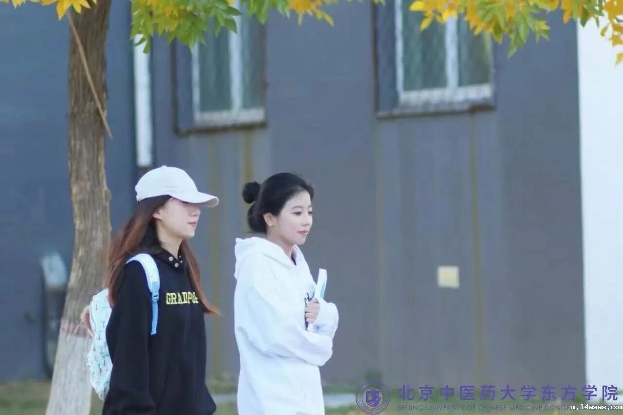 0adf66cd5638c06533c7ed736e5468b0