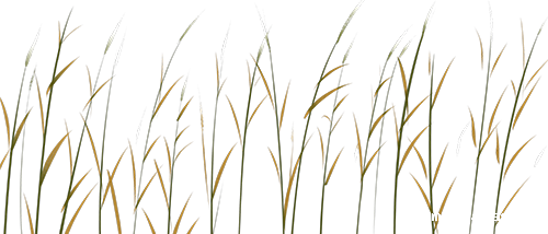 0d356dc3c3457e53c3a7d214ecf29764