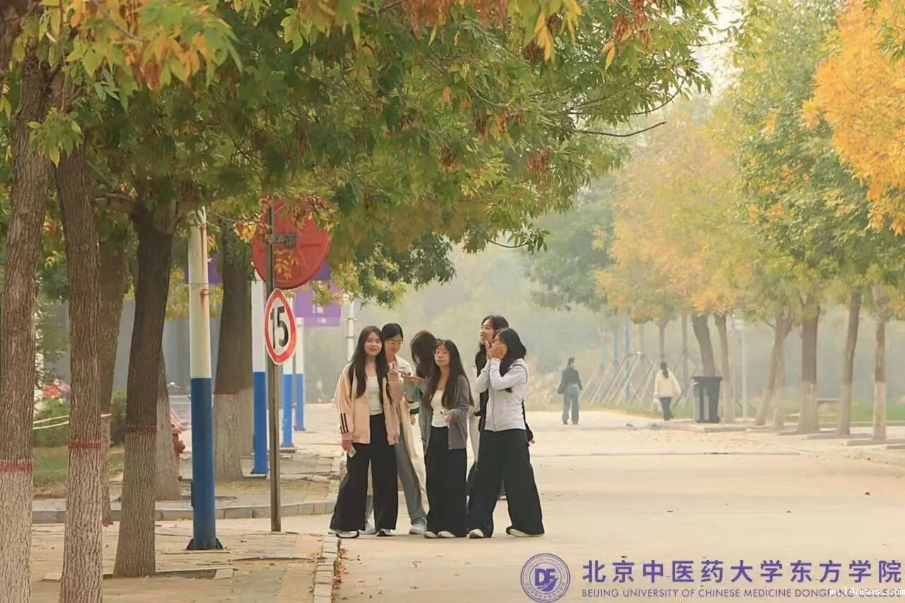 bf012c93c35215172da2b230f84c0d47