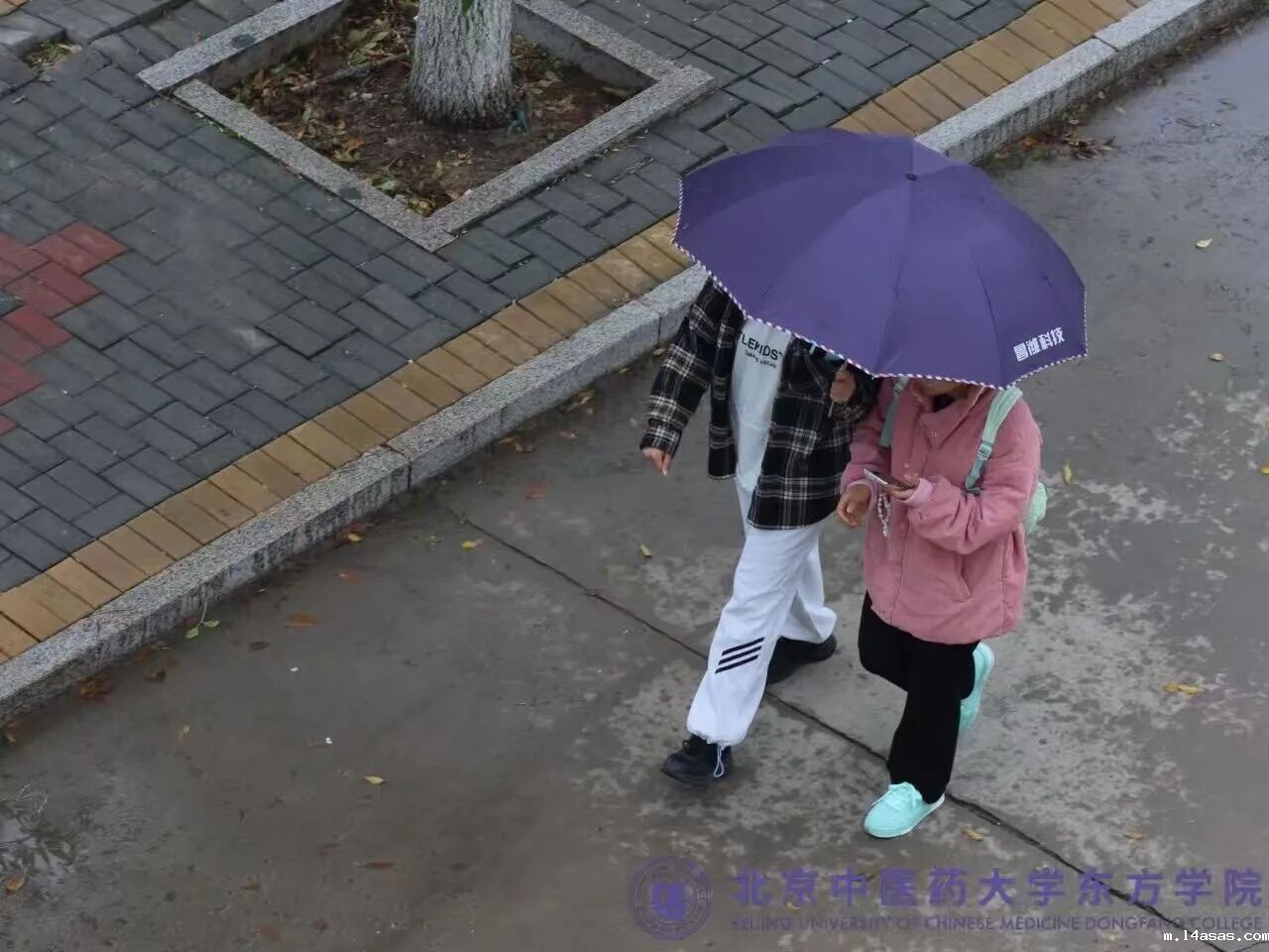 01cd0660f3743ea622d9f5eee2a9c20e