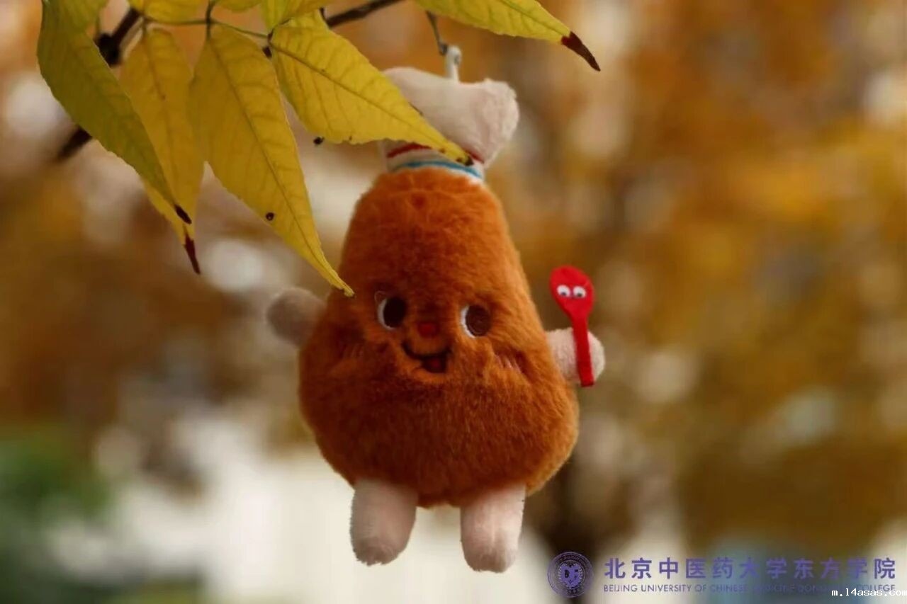 d785405aae92440a17e7b8bd84eba781