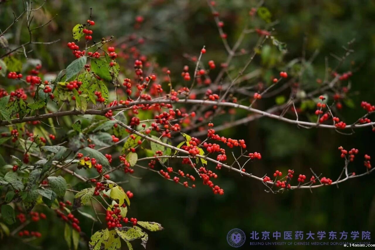 ed7fab7ea0621c8491c9af6045c43884