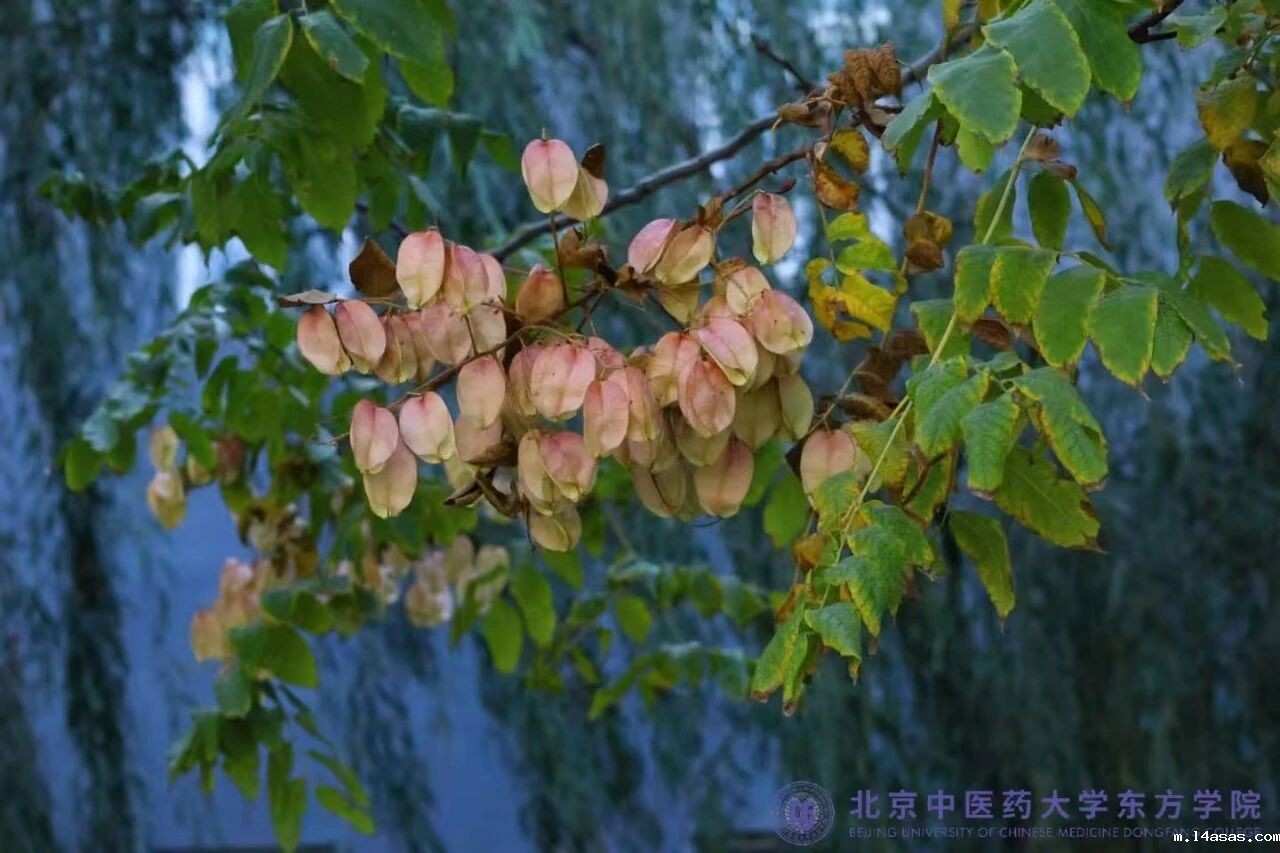 f3ac21b34cde3028d88846906d29c0b2